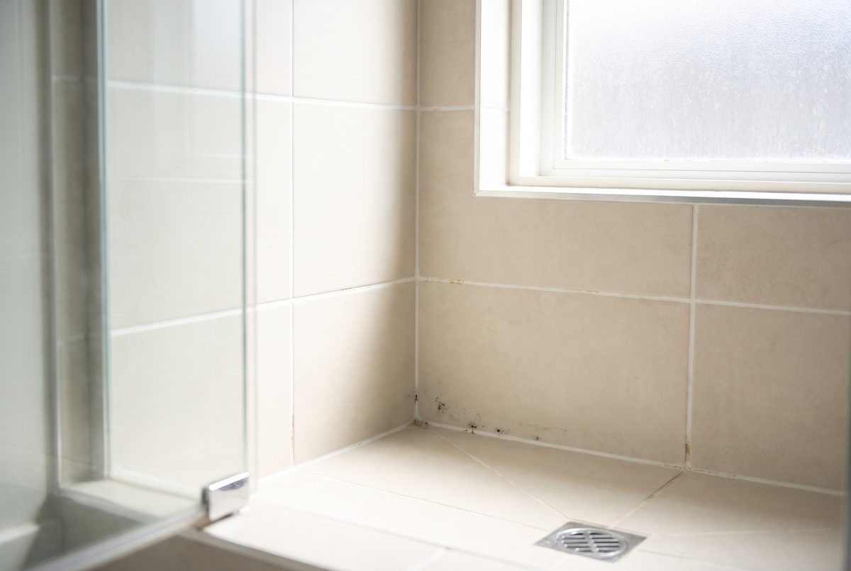 A tiled shower wall in a Sand Lake bathroom with white grout lines, some of them darkened with black mildew spots near the bottom corner.